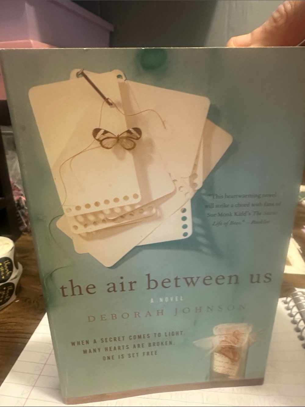 The Air Between Us by Deborah Johnson Paperback Southern Fiction Novel